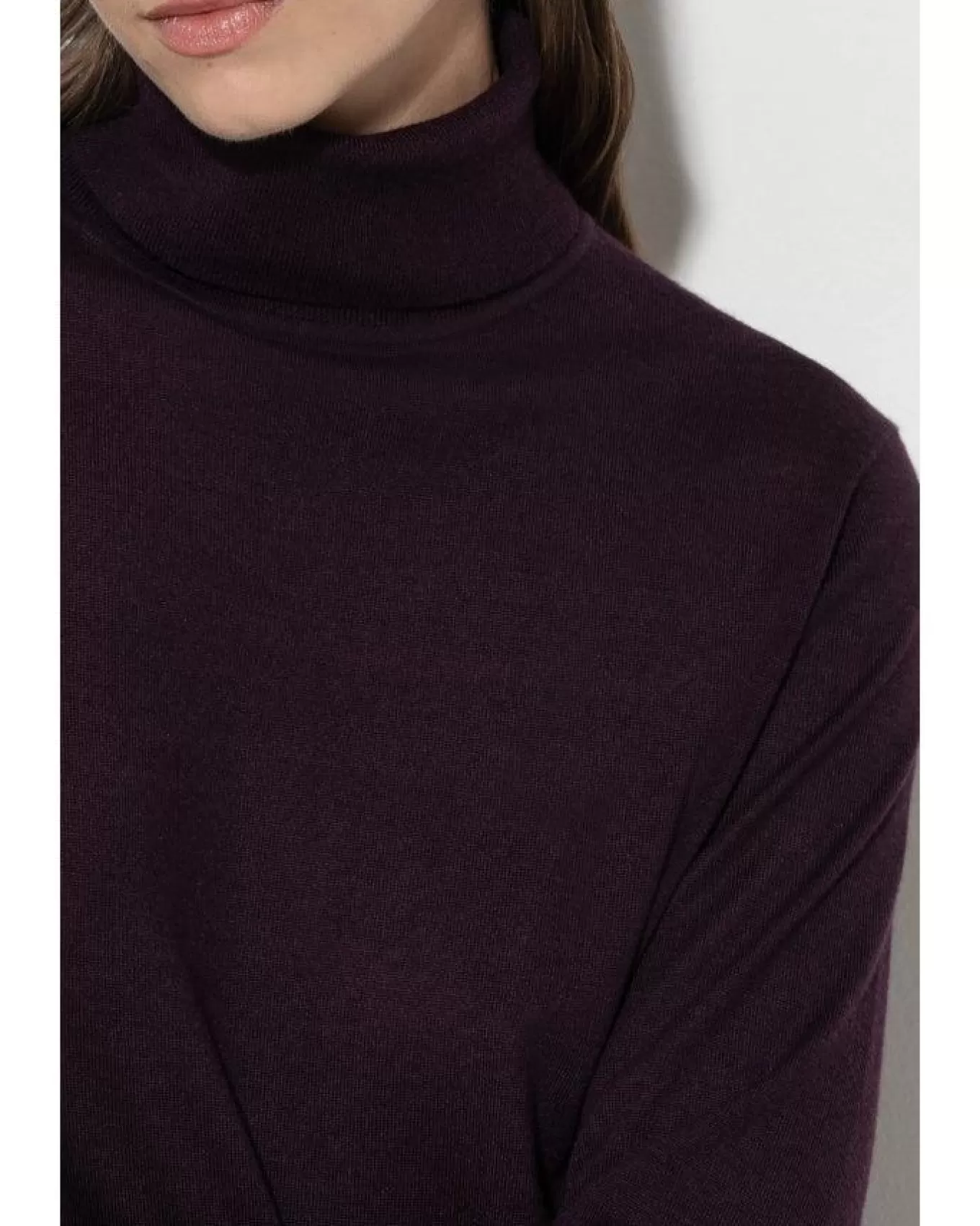 luisa_cerano_silk_blend_turtleneck_sweater_4.webp Silk Blend Turtleneck Sweater<Luisa Cerano Cheap